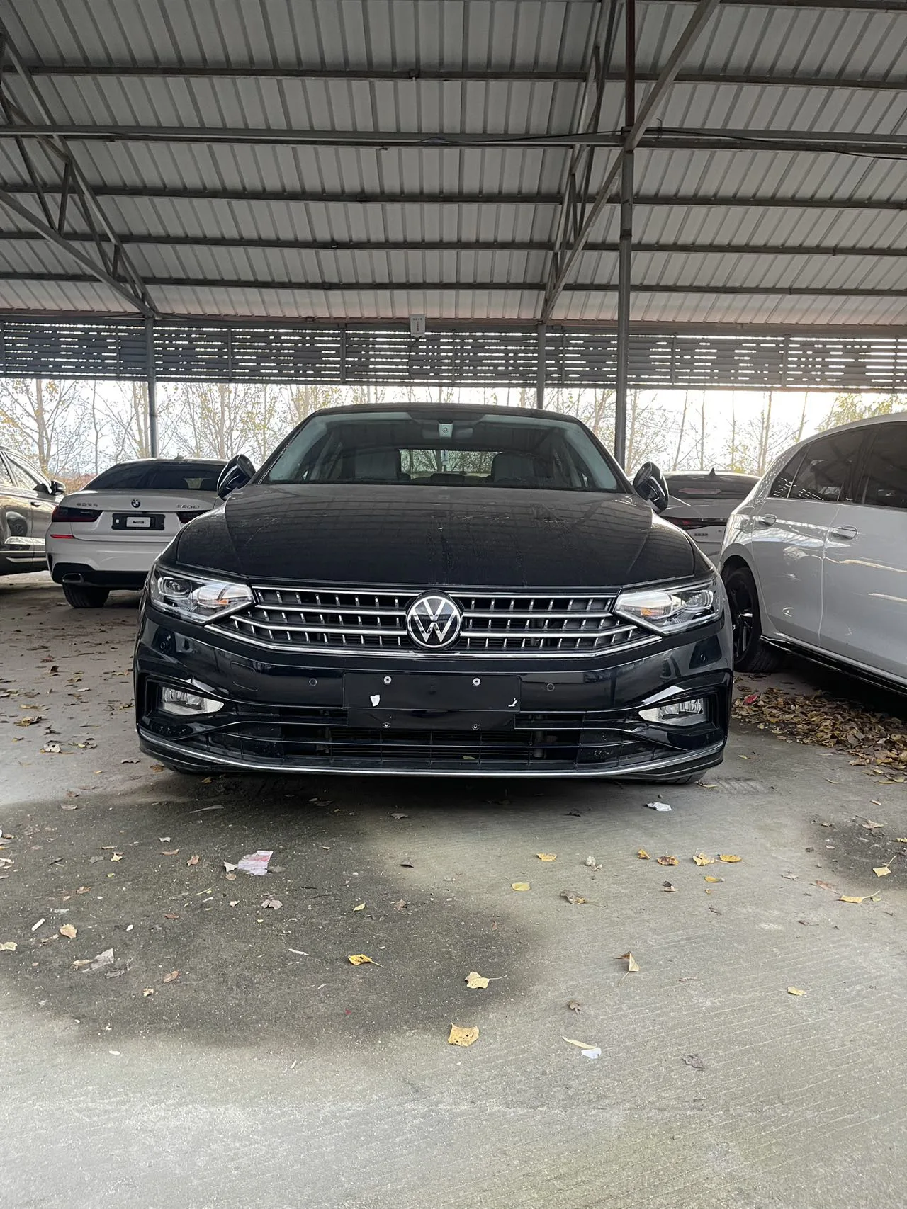 Volkswagen Magotan Leading 280TSi 2023 модельного года