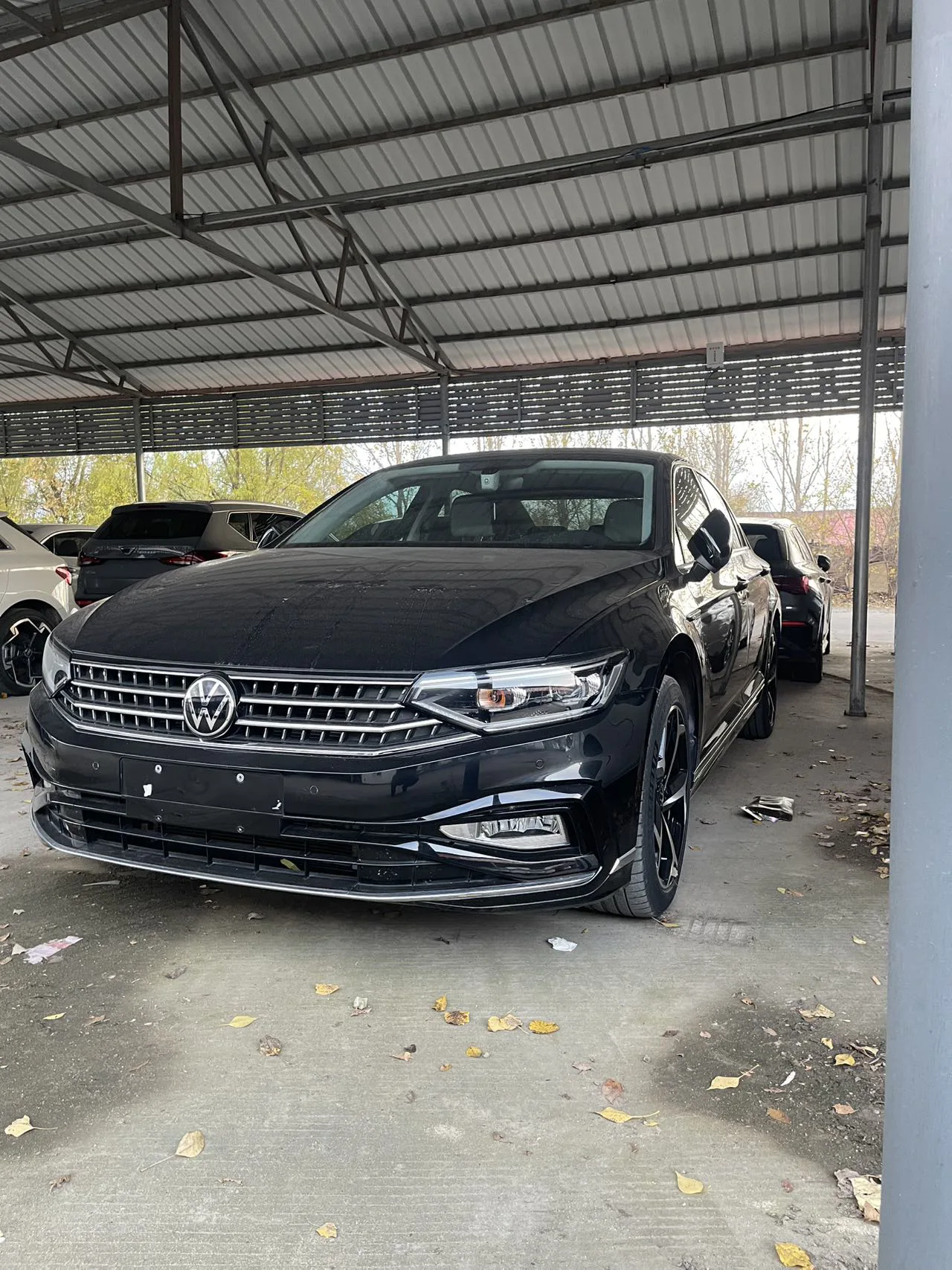 Volkswagen Magotan Leading 280TSi 2023 модельного года